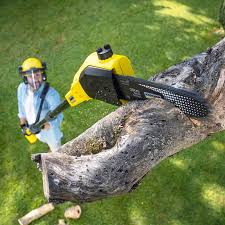 Best Lawn Mowing  in Edgewood, KY